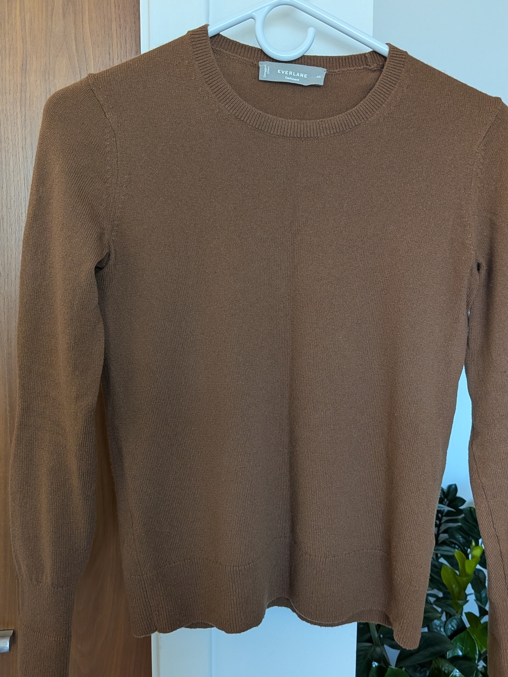 Everlane Cashmere Crewneck Sweater in Warm Brown